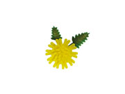 造花