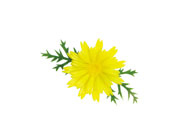 造花