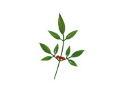 造花