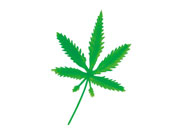 造花