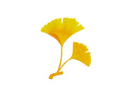 造花