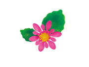 造花