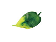 造花