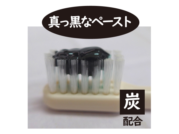 ランチャーム 歯磨き粉
